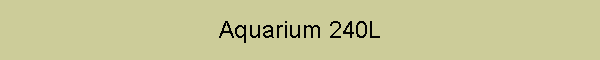 Aquarium 240L
